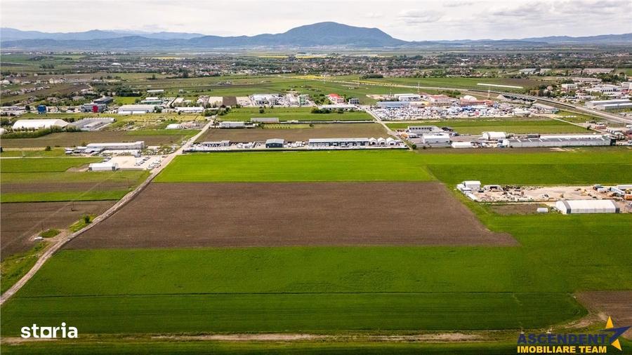 FILM! Teren intravilan, cu PUZ, pe 10.000 mp, Grivitei, Brasov - 6