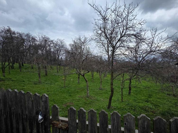 Vand casa cu sura, curte mare si gradina in Bosanci , Suceava - 3