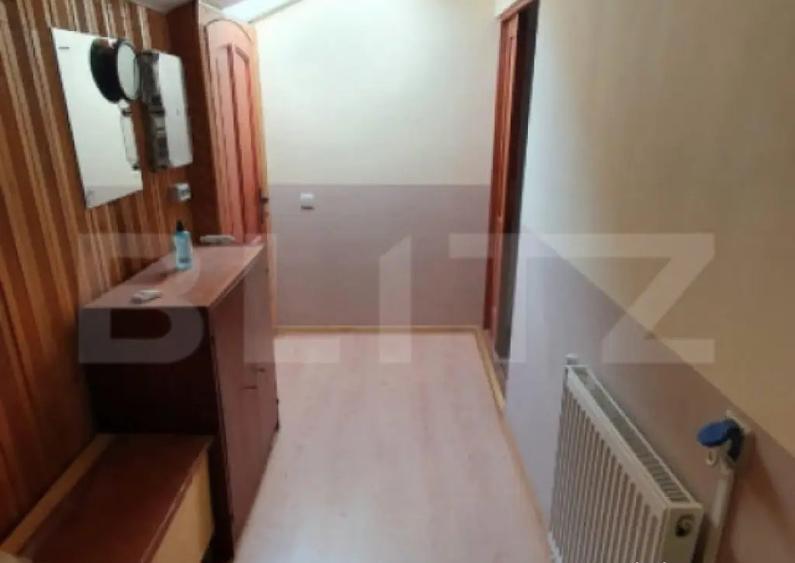 Apartament la casa,1 camera, 30 mp, zona strazii Artelor - 3