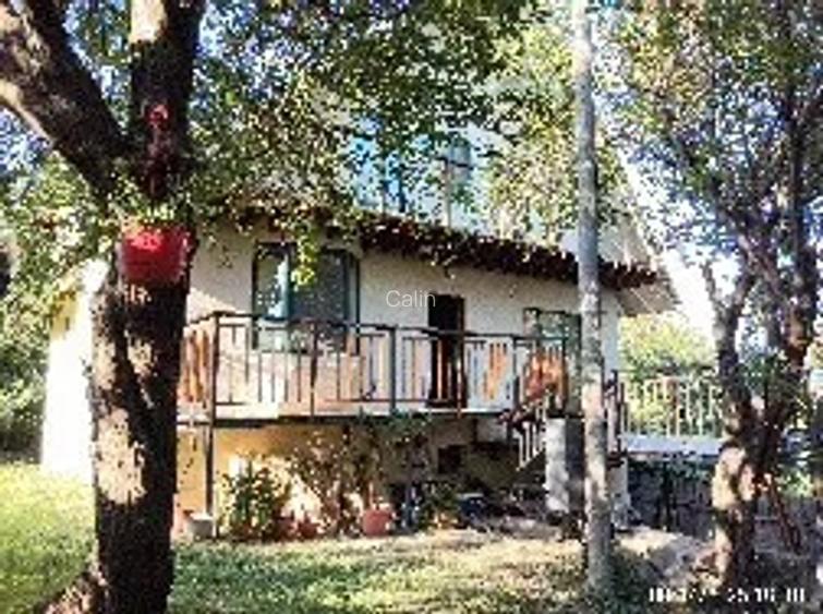 Casa de vis - refugiu in natura Casa de vis - refugiu in natura