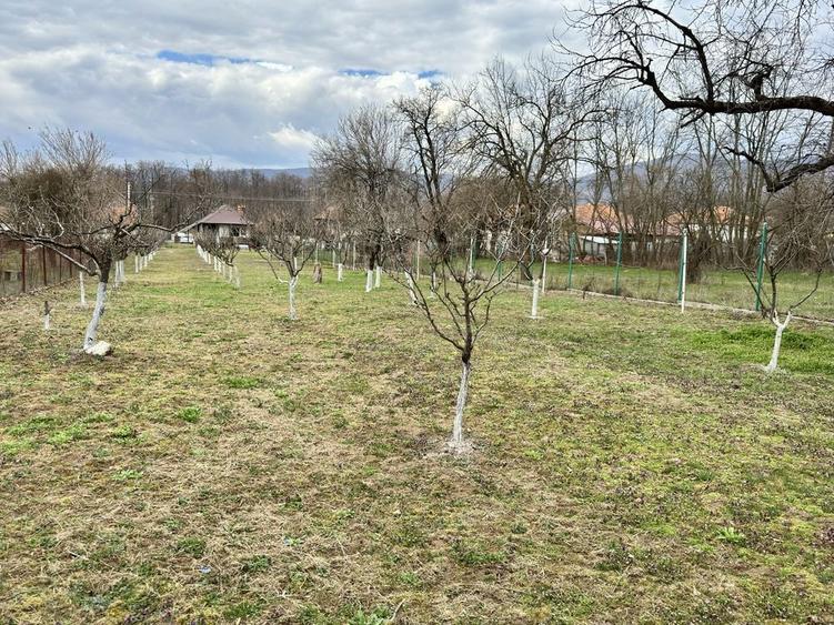 De vanzare casa Stanesti-Alexeni casa+teren 6150mp - 4