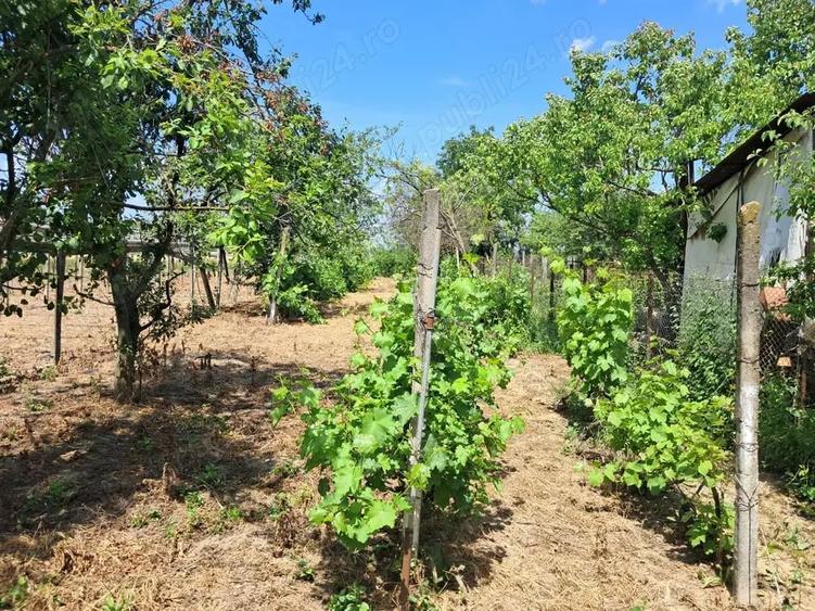 Casa de vinzare cu teren de 2636 mp ieftina la Gherghita pozitie excelenta pentru vila - 9