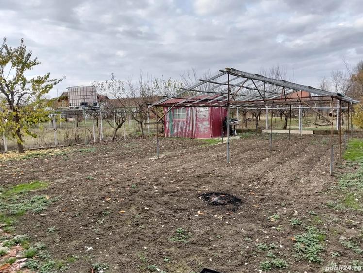 Casa de vanzare comuna Balin?,sat Bodo,jud.Timi? - 3