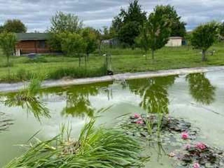 Proprietate de exceptie - 7