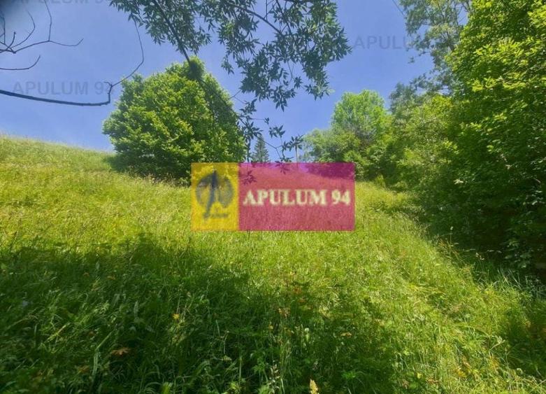 Teren de v&acirc;nzare &icirc;n Bușteni - Zona Zamora - 3