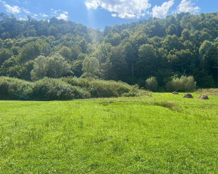 Teren in ROSIA Bihor 60mp - 2