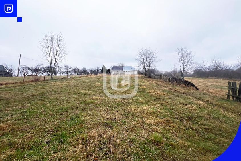 Casa traditionala la tara cu livada | Poieni-Solca - 23