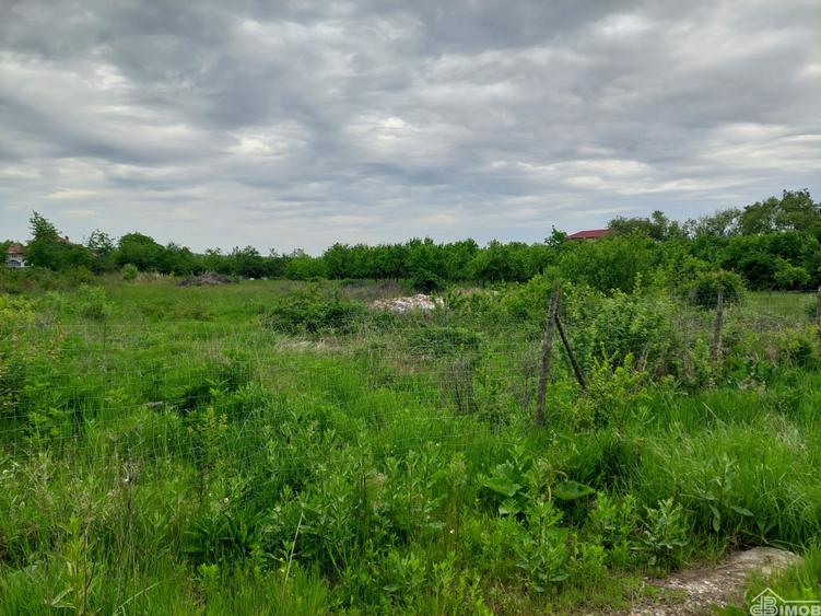 Stradal. Intravilan - 2