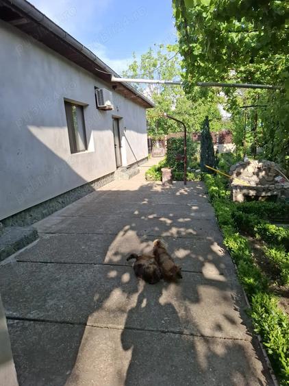 Casa de vanzare municipiul Oltenita judet Calarasi - 3