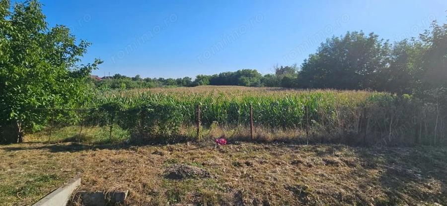 Gelu [Varias] Teren Intravilan - 2