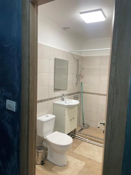 Garsoniera de vanzare, 32.87 mp utili, zona Brazda lui Novac - 8