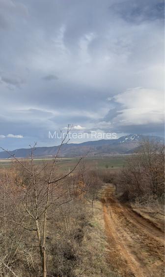 Teren intravilan 3400mp