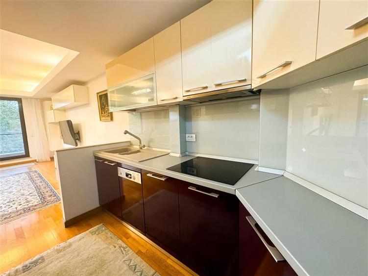 Apartament de inchiriat 3 camere Soseaua Nordului - 10