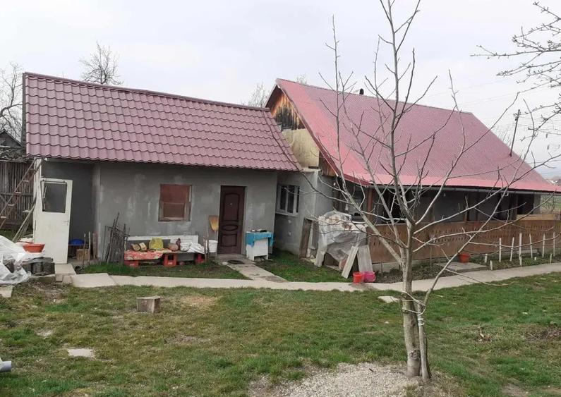 Asuaju de Sus, casa , 40 ari teren - 2