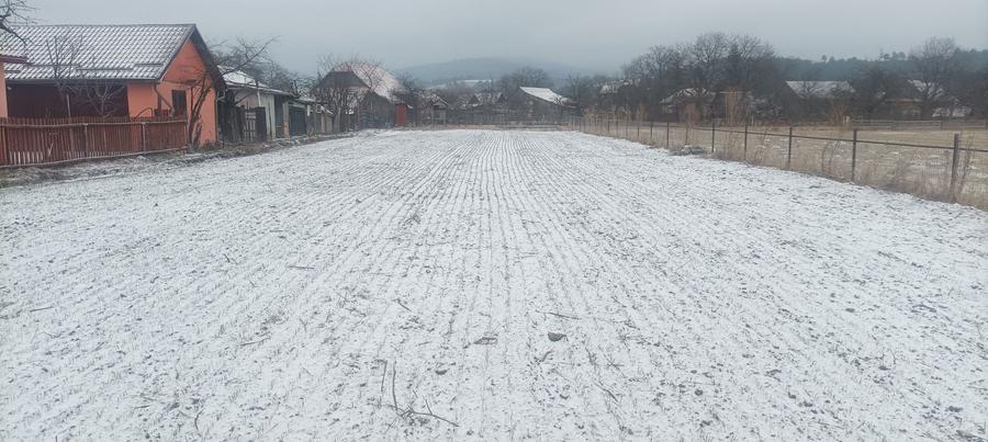 Teren De Vanzare Intravilant In Centrul Zabala - 1