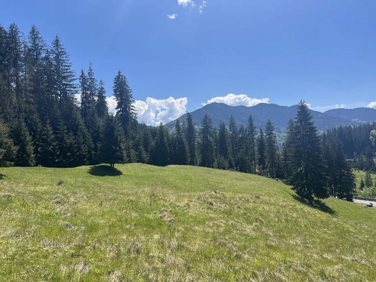 Teren de vanzare Tihuta - 3