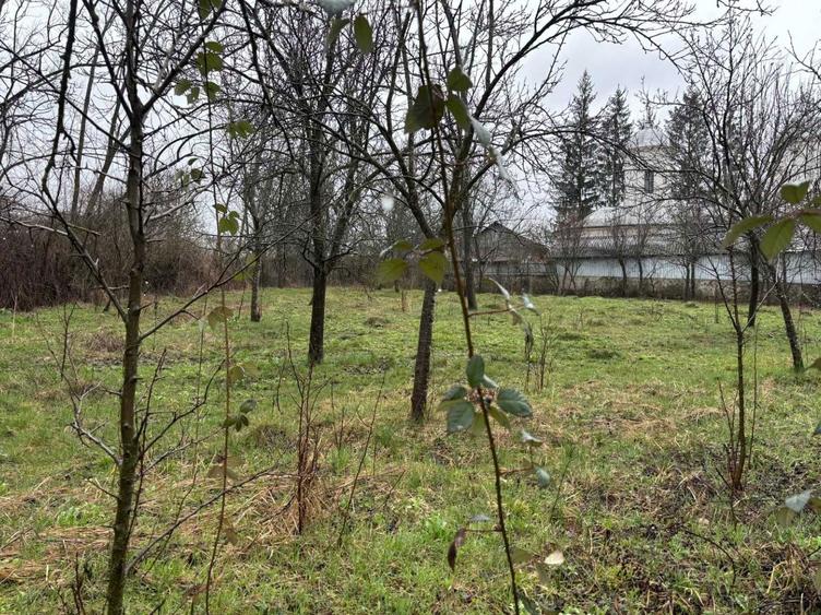 Titlu: Teren intravilan 1.000 mp, Sangeru (Prahova) Zona Centrala / Langa Biserica - 1