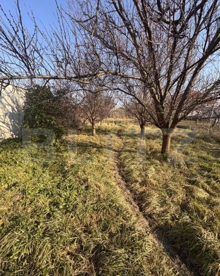 Casa individuala, 7 camere, 217 mp, 624 mp teren, zona Frate - 10