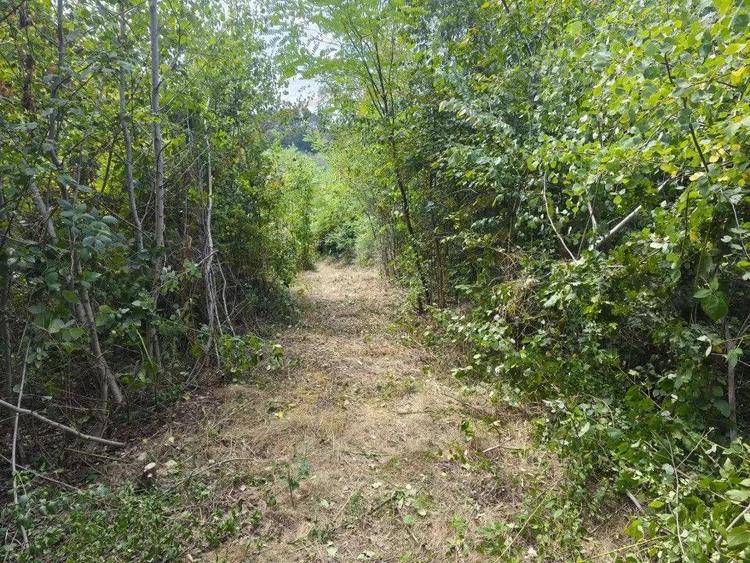 Teren 2552 mp Mosoaia Hintesti -Strada Basangesti - 2