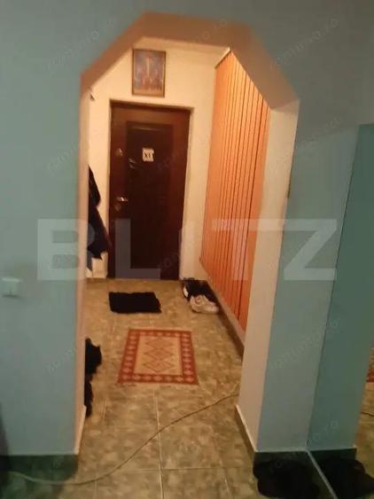 De vanzare casa 99 mp, teren 7,5 ari in Lazuri, Satu Mare - 10