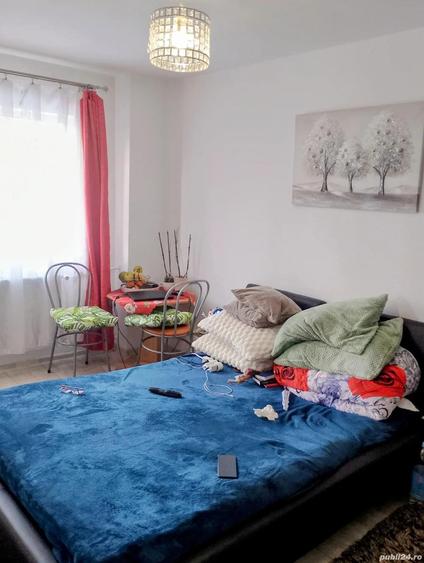 CI617 Telegrafului-Lorena,1 camera,Renovata - 6