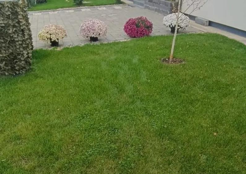 Casa Parter! 3 dorm.+2 bai+2 parcari ! Aproape de centura... - 2