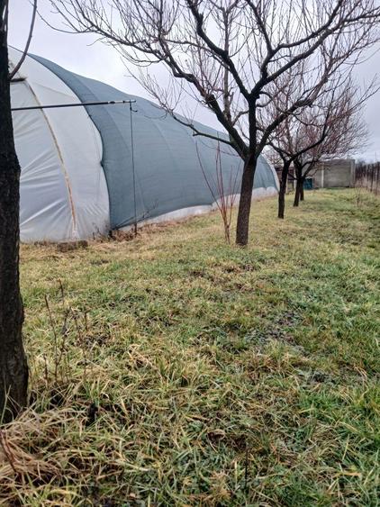 Casa de vanzare. - 3