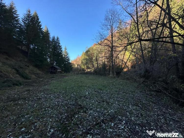 Teren 2.882 mp oportunitate investitie - Cheile Dambovi - 4