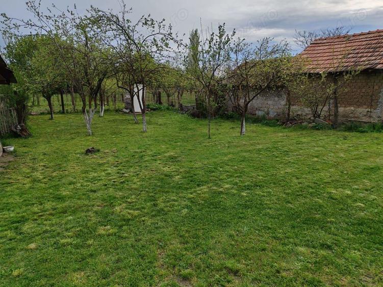 Teren cu casa batraneasca de vanzare - 3