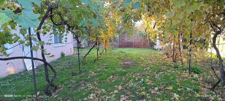 Vand casa Rusane?ti - 1