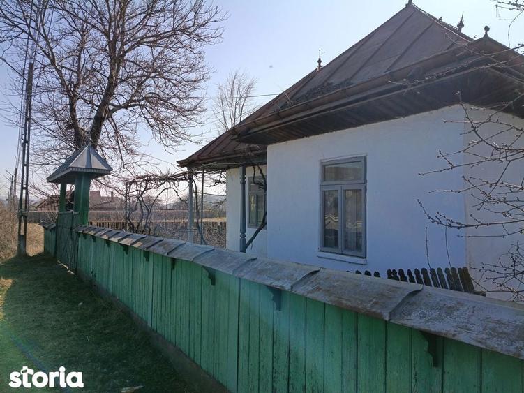 De vanzare casa + teren 9000 mp - 2