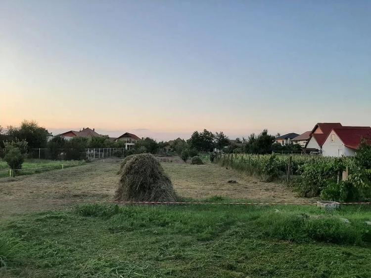 Teren 961 mp - Locatie Centrala - Sacalaz - 1