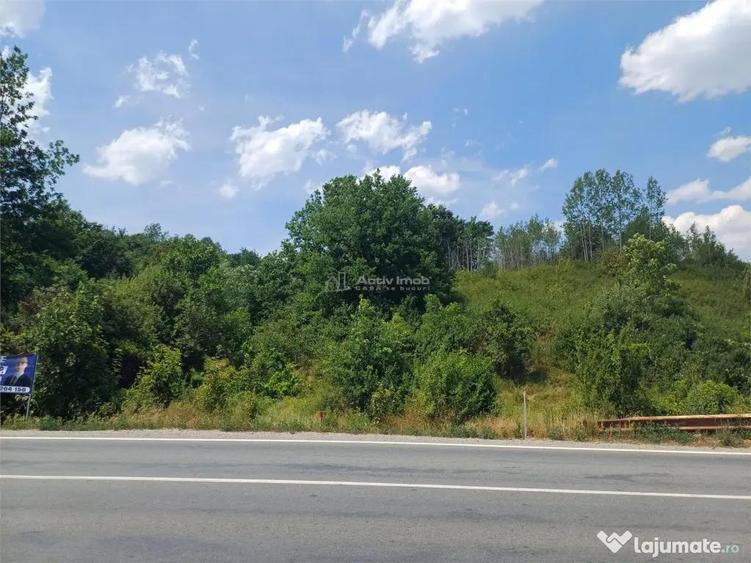 Resita, Terenuri Intravilane 2000 Mp., 20 Euro/Mp., Calea Ca - 2