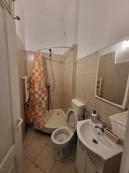 Cameră la  Vilă în Copou Sararie  CUZA UMF Agronomie - 5