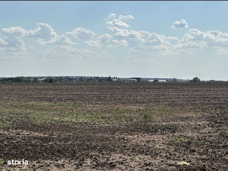 teren Extravilan,Ostratu,SE POATE FACE PUZ - 1