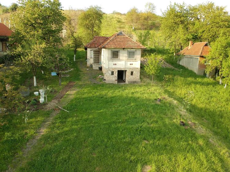 Teren Orasu Nou Vii ,Intravilan 38 Ari , Casa + Livada pomi fructiferi - 3