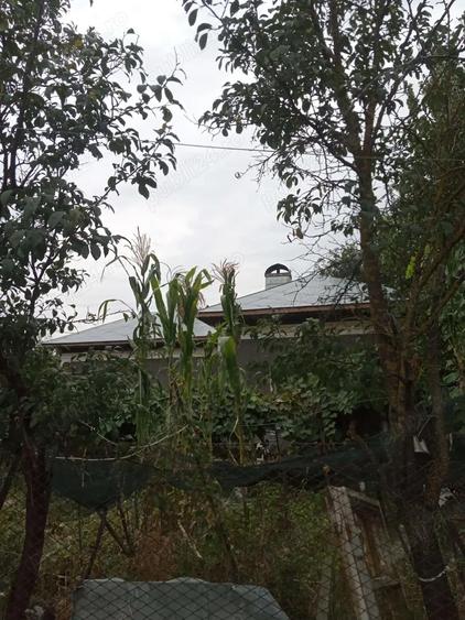 Vand Casa Putineiu Teleorman - 3