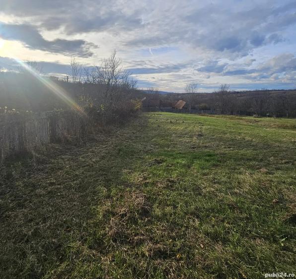 Casa de vanzare la ?ara - 4