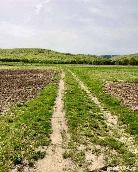 3700 mp Budesti-Piscul Pietrei - 9