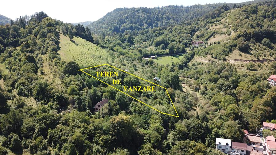 Teren in Scheii Brasovului inconjurat de natura - 1