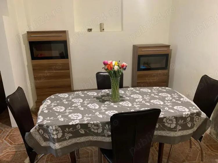 Casa spa?ioasa + 3000mp teren, foraj 120m, zona pitoreasca Balint, Timi? - 9