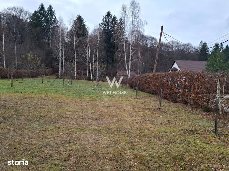 Teren deosebit pozitionat, cu livada, langa padure, pe Valea Avrigulu - 2