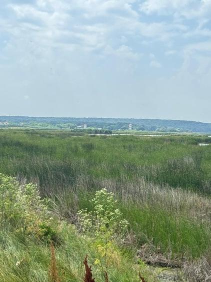 Teren intravilan Comana - 1