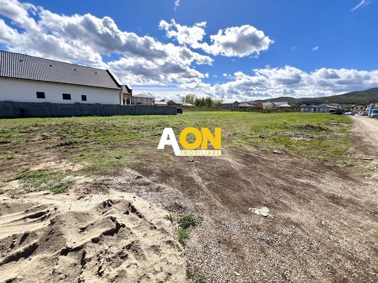 Teren de vanzare cu toate utilitatile, 20ml deschidere - 3