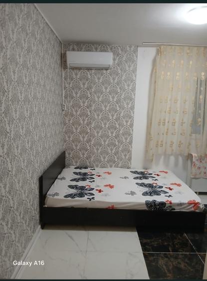 Pantelimon, Spital, parc - 4