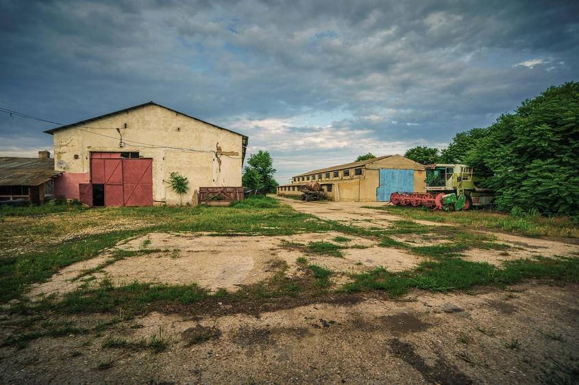 Inchiriere hala pentru depozitare sau productie  – Poarta Alba - 2