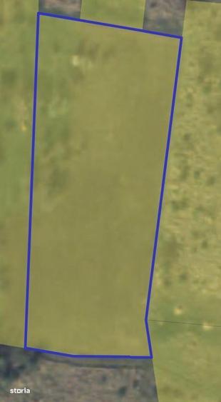 Teren intravilan Dealuri Oradea 3649 mp - 3