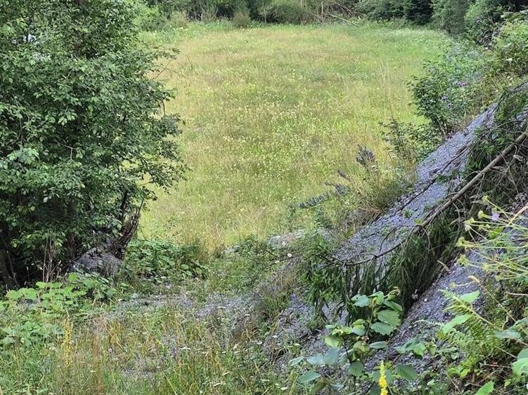 Teren agricol intravilan de 7400 mp, în Colacu