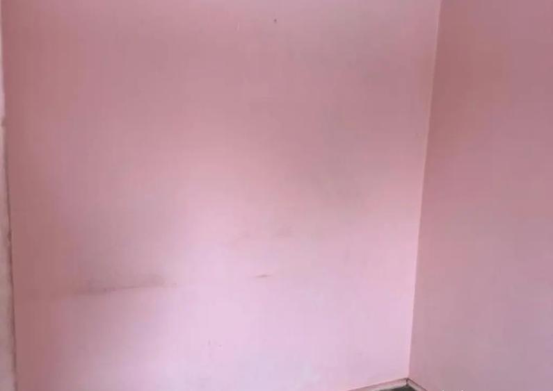 2 Camere cu Poten?ial Mare, Aleea Pricopan - 6