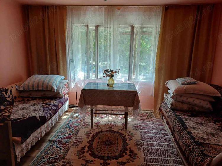 Casa de vacan?a de vinzare in satul Moceris ,Comuna Lapusnicul Mare - 5